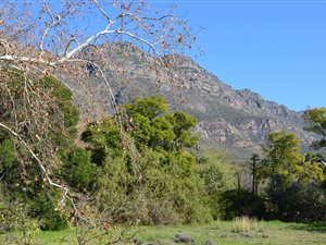 1819 m² Land available in Riebeek West