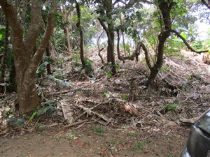1366 m² Land available in Glenmore