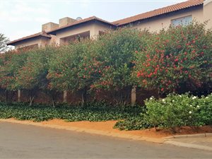 2 Bed Apartment in Rensburg