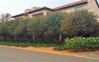 2 Bedroom Apartment in Rensburg