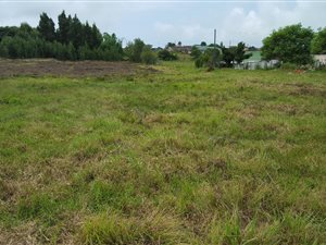 5981 m² Land available in Pacaltsdorp