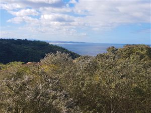 3 Bed House in Ballots Bay