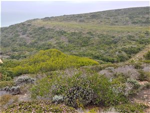 983 m² Land available in Pinnacle Point Golf Estate