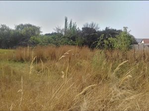 8565 m² Farm in President Park