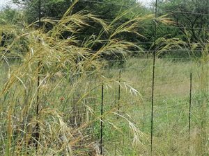 21 ha Farm in Dinokeng