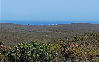 360 ha Farm in Gouritsmond