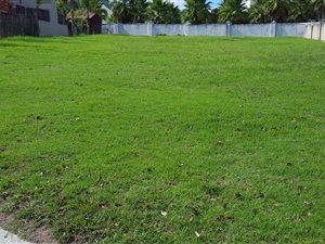 981 m² Land available in King George Park