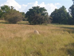 8900 m² Land available in Chartwell