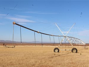 3947 ha Farm in Ceres