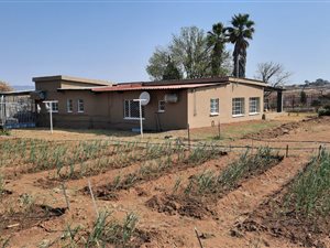 8 ha Farm in Leeukuil AH