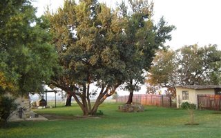 27 ha Farm with House in Welbekend