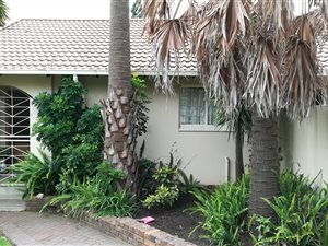 5 Bed House in Noordrand