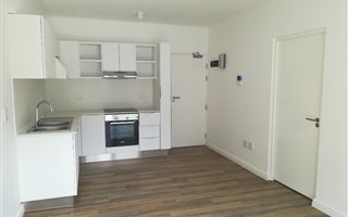 1 Bedroom Apartment in Rondebosch
