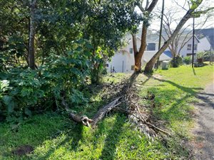 2292 m² Land available in Umtentweni