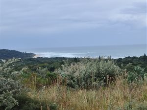 1579 m² Land available in Palm Beach