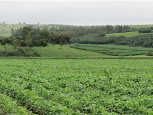 181 ha Farm in Machadodorp