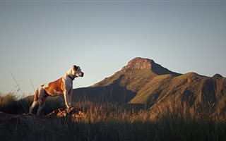 5.5 ha Smallholding in Clarens