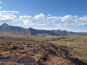 5.5 ha Smallholding in Clarens