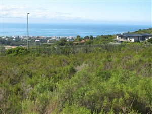 1054 m² Land available in Whale Rock Heights