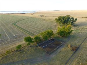 392 ha Farm in Normandien