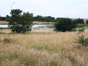1330 m² Land available in Vredefort