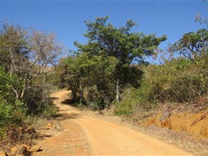 1000 m² Land available in Machadodorp