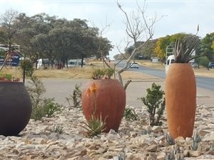 2974 m² Land available in Vaalwater