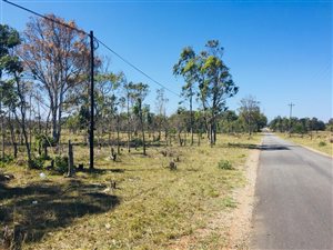 2.2 ha Land available in Greenbushes