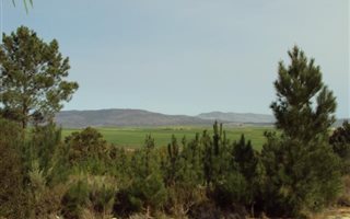 575 m² Land available in Myddleton