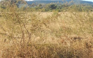 450 m² Land available in Lebowakgomo