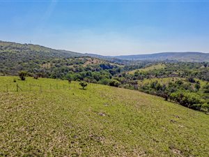 5 ha Farm in Atteridgeville