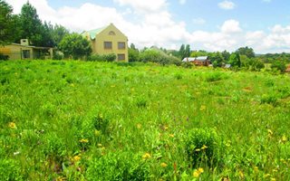800 m² Land available in Dullstroom
