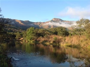 1000 m² Land available in Machadodorp