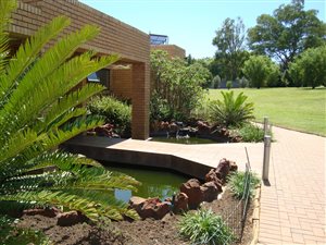 2.1 ha Farm in Rietfontein