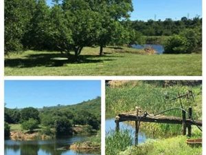 144 ha Farm in Ashburton