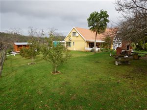 6 ha Farm in Knysna Central