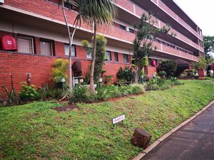 2 Bed Apartment in Westridge