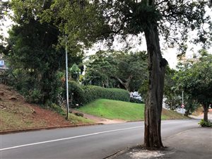 1.5 Bed Apartment in Glenwood