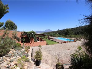 225 ha Farm in Tulbagh