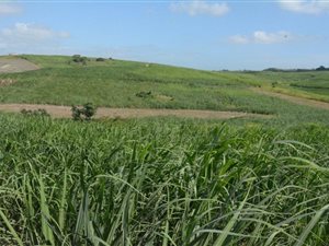 12.5 ha Farm with House in Umtentweni