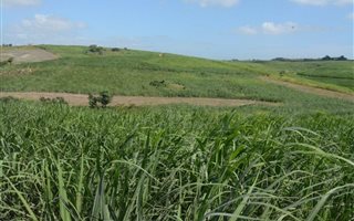 12.5 ha Farm with House in Umtentweni