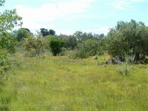 2411 m² Land available in Bathurst and Surrounds