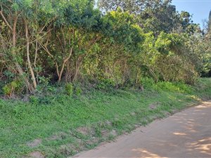 1000 m² Land available in Southport