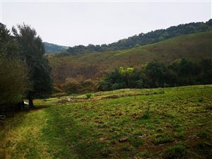 23.3 ha Land available in Richmond