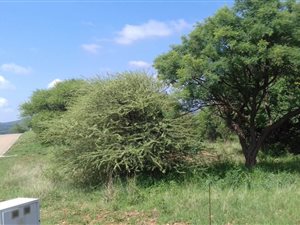 1035 m² Land available in Hartbeesfontein