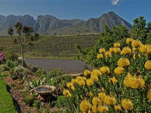 13 ha Farm in Swellendam