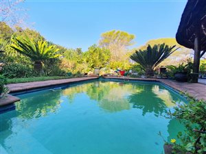 9 Bed House in St Lucia