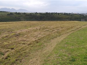2134 m² Land available in George Central