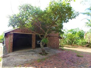 50 ha Farm in Modimole (Nylstroom)