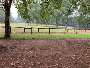 3400 m² Smallholding in Summerveld